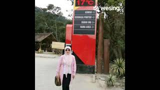 Download lagu Sesah Hilapna mp3