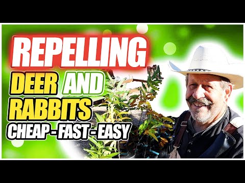YouTube video about: Does blood meal deter rabbits?