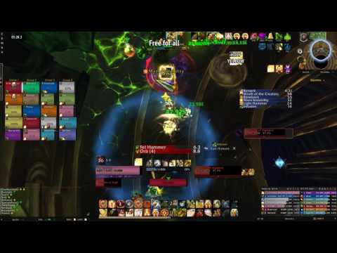 Left Shark Vs. Mythic Maiden of Vigilance (Holy Paladin)