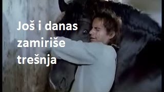 Toše Proeski ⁞ Još i danas zamiriše trešnja (tekst)
