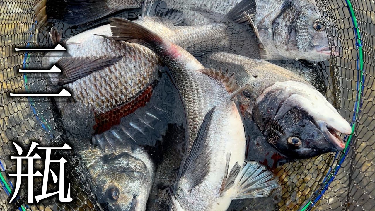 このエリアヤバ過ぎ‼ウブな年無しゴロゴロ