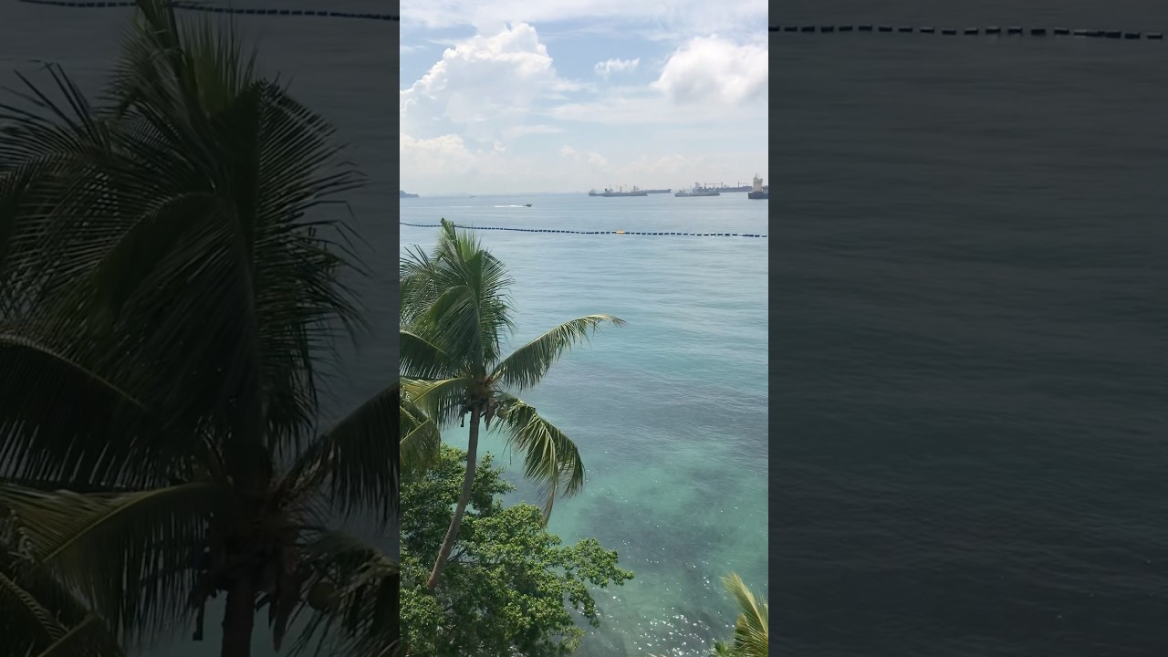 YouTube Short thumbnail