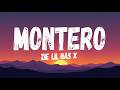 Lil Nas X MONTERO Call Me By Your Name Lyrics Official HD Lyric Video Chart Topping Pop Rap