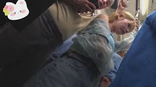 Download lagu Pretty Lady Going to Work | Japan Bus Vlog mp3