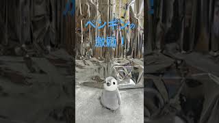 ペンギン英会話　#01