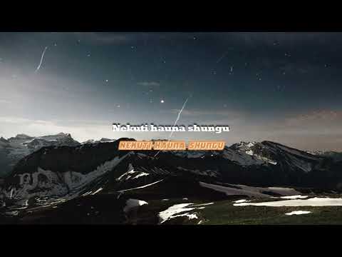 Jah Prayzah ft Gemma Griffiths - Shungu (Lyrics)