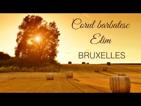 Corul barbatesc Elim Bruxelles | Volum 2
