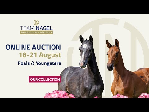 Trailer - Auktion 2022