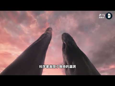 2026重磅论文：地球或曾存在&ldquo;第四界生命&rdquo;！ 4亿多年前统治过陆地的诡异巨柱，可能既不是树，也不是蘑菇，甚至不是今天任何一种已知生命。如果这是真的，那地球就不仅灭绝过物种，甚至可能整段删除过一种生