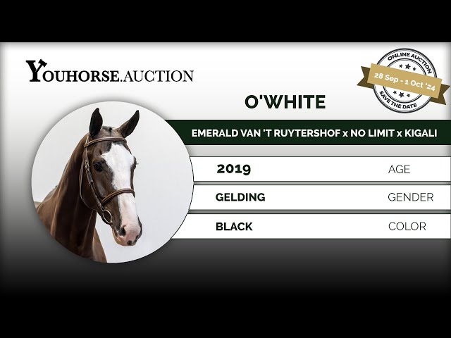 O'White