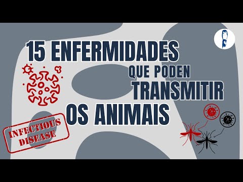 Vídeo: Que é unha zoonose? 