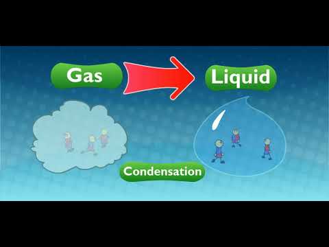 Scholastic - Study Jams - Solids Liquids Gases