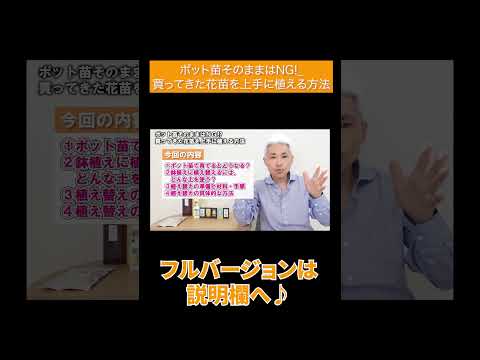 苗を何に入れますか？ 4 つの回復アイデア + ビデオ手順  庭園