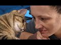 Cat falls in love with adopter