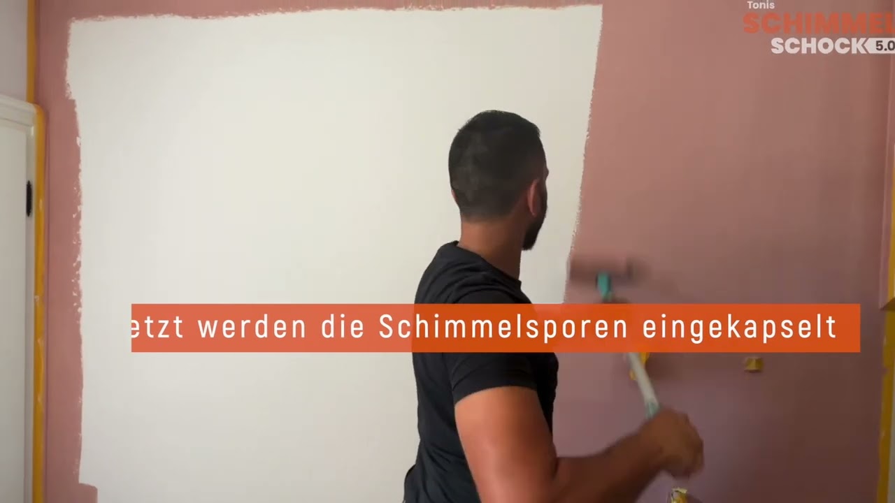 Tonis Schimmelschock Pot de peinture 4.5 l blanc