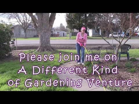 CA Lawn Removal Rebate Program