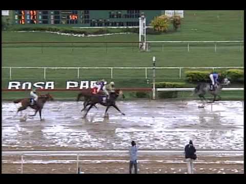 Arima Race Club Race day 33 Race 9