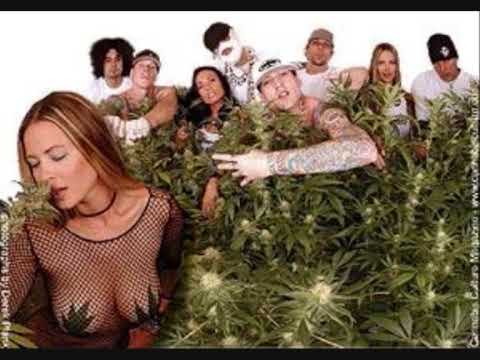 Kottonmouth Kings - Rest of my life