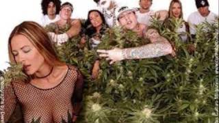 Kottonmouth Kings - Rest of my life