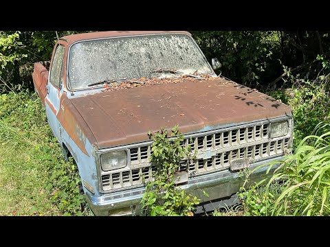 Will it run and drive after 29 years 1981 Chevy