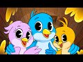 The Colorful Birdie Kids Song Clap Clap Kids