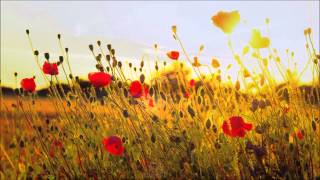 The Calling - Believing (Echo Mix)