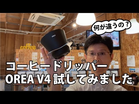 オリーブの木農園 (Olea europaea)