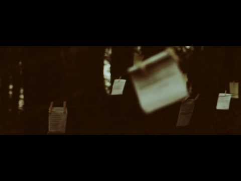 Letters to Evelyn - Short Version