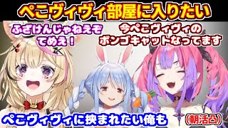 ぺこヴィヴィのボンゴキャットの件でポルカに問い詰められるヴィヴィ【ホロライブ切り抜き/兎田ぺこら/綺々羅々ヴィヴィ/尾丸ポルカ】