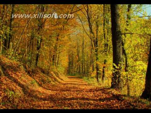 Agron Bulku Thike e dashuris se tradhetuar