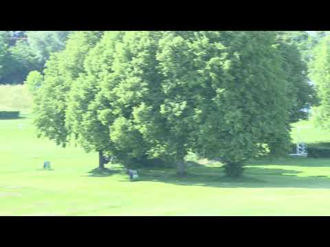 27. 6. 2020 - Cena města Slušovice