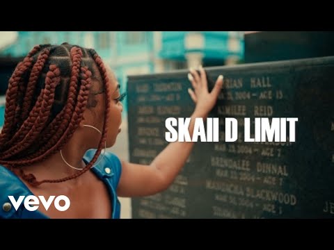 Skaii D Limit - No Love