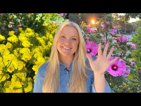 5 Heat-Tolerant Plants That Are THRIVING in My California Garden! ☀️☀️☀️