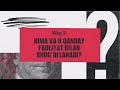 Way II Nima Va U Qanday Faoliyat Bilan Shug Ullanadi