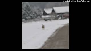 SCNTST - Image Is Everything Pt. 1 (+ Phaser Jams) - 01 OTD (Ambient Version)