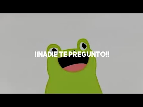 La ranita del meme :) | NADIE TE PREGUNTO letra | Sol Pereyra | Musica Shida XD