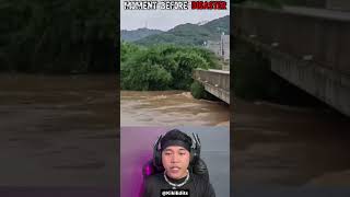 Download lagu Moments After a Giant Tree Was Hit by a Flood, People on the Auto Bridge Flee 😱 #shorts mp3 Download lagu Moments After a Giant Tree Was Hit by a Flood, People on the Auto Bridge Flee 😱 #shorts mp3