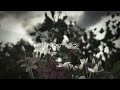 U Cn Say I M A Fool Lyrics Ringtones Whatsapp Status Speed Up Viralvideo