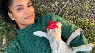 thank you for watching vlogmas 2025 🥹💕🎄✨!!!