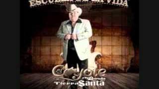 El coyote Que Bonito Es El Amor