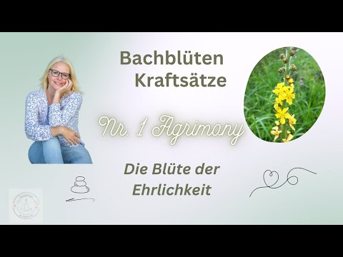 Bachblüten Kraftsätze für die Blüte der Ehrlichkeit Nr. 1 Agrimony