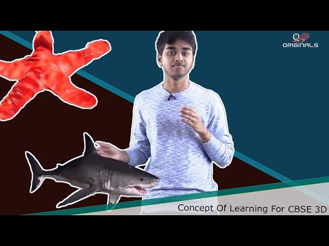 IQmagIQ video thumbnail