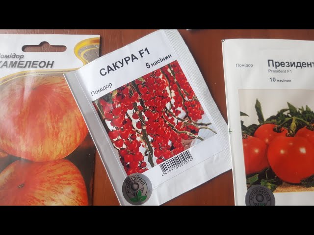 Youtube Video Youtube Video