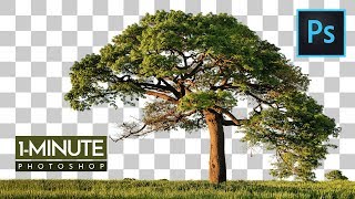 1-Minute Photoshop | How to Cut Out Tree in Photoshop