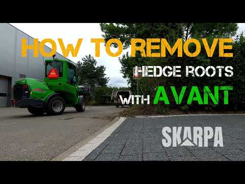 How to remove hedge roots with AVANT 755i loader