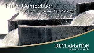 Downstream Juvenile Fish Passage Prize Competition