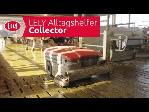 LELY Alltagshelfer – Collector