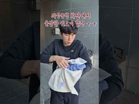 의성군청 화단에서 귀요미 발견