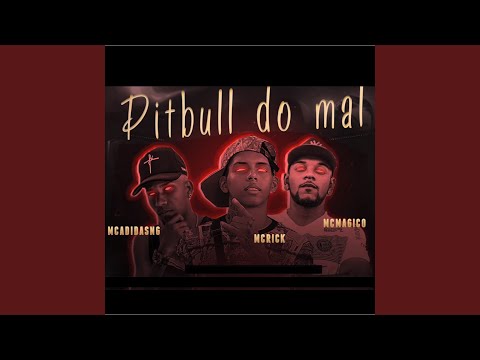 Pitbull do Mal