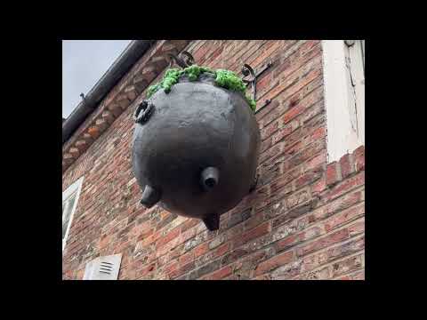 DAY 6 YORK staying at The Masons Arms #accommodation  in #york #uk on 6 and 7 May 2025